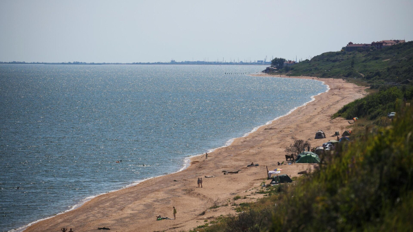 Тысячи гигантских медуз заполонили Азовское море Тысячи гигантских медуз заполонили Азовское море