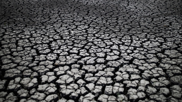 Сильная жара до плюс 40 градусов ожидается в Краснодарском крае 27-29 июля