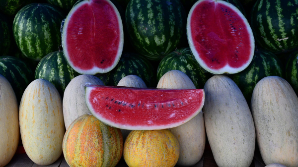 Роспотребнадзор: арбуз издает звонкий звук и обладает плотной блестящей коркой Роспотребнадзор: арбуз издает звонкий звук и обладает плотной блестящей коркой