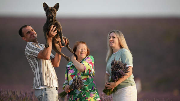 Кинолог Голубев: собаки могут помочь хозяину бороться со стрессом Кинолог Голубев: собаки могут помочь хозяину бороться со стрессом
