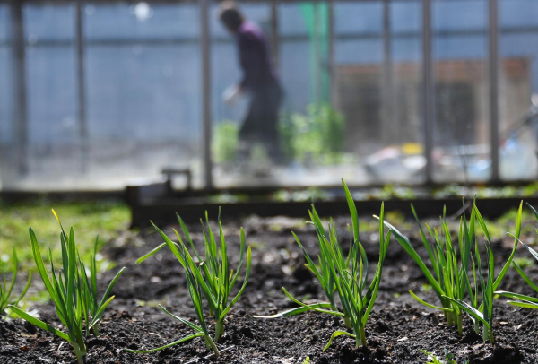 Как оформить участок по дачной амнистии: советы экспертов Как оформить участок по дачной амнистии: советы экспертов