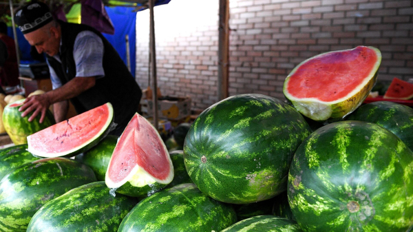 Разбоев: арбуз лучше покупать в августе, а по звуку он должен напоминать барабан