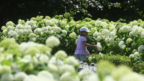 Алексей Кокорин: температура в центре России за полвека увеличилась на 3 градуса
