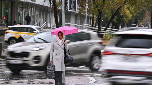 Вильфанд: в Москве в ближайшую неделю не ожидается снега
