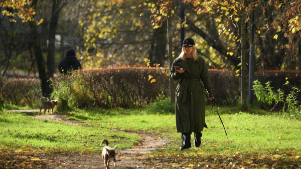 Температура воздуха в Москве в субботу составила 10,6 градуса тепла