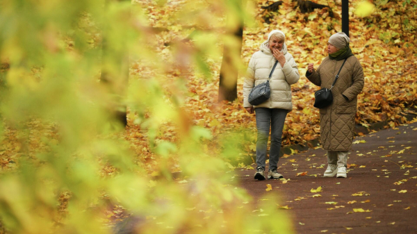 Вильфанд: температура в начале ноября в Москве будет как в начале октября