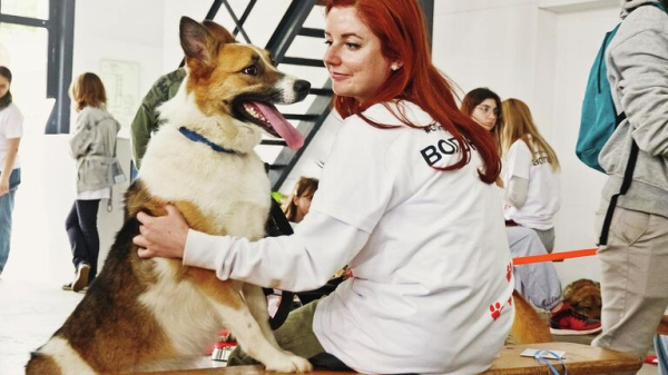 Выставка-пристройство животных из приюта "Юна-Фест" пройдет в Москве 15 ноября