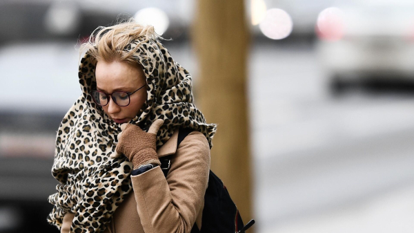 Москвичей предупредили о ветре с порывами до 15 метров в секунду в пятницу