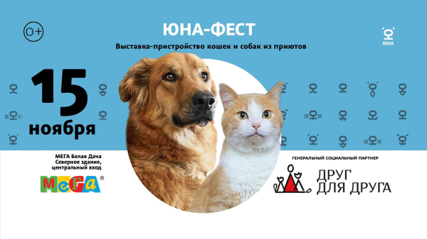 Выставка-пристройство животных из приюта "Юна-Фест" пройдет в Москве 15 ноября