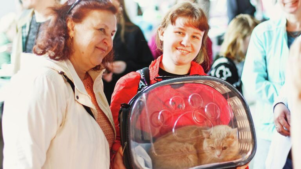 Выставка-пристройство животных из приюта "Юна-Фест" пройдет в Москве 15 ноября